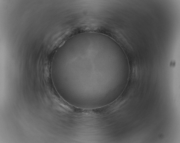 X0000112971250200909031037