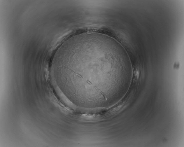 X0000112971252200909031037