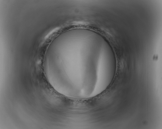 X0000112971254200909031037