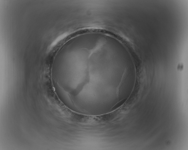 X0000112971255200909031037