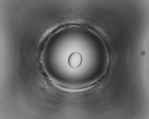 X0000112971256200909031037