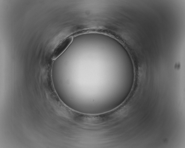 X0000112971257200909031037