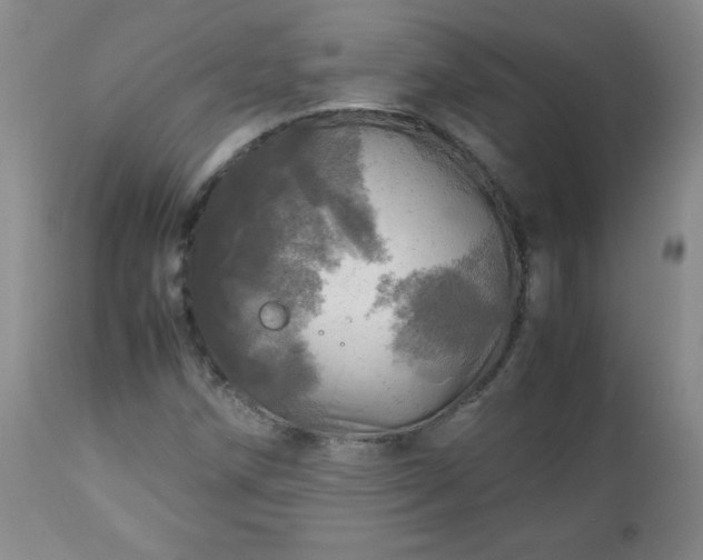 X0000112971258200909031037