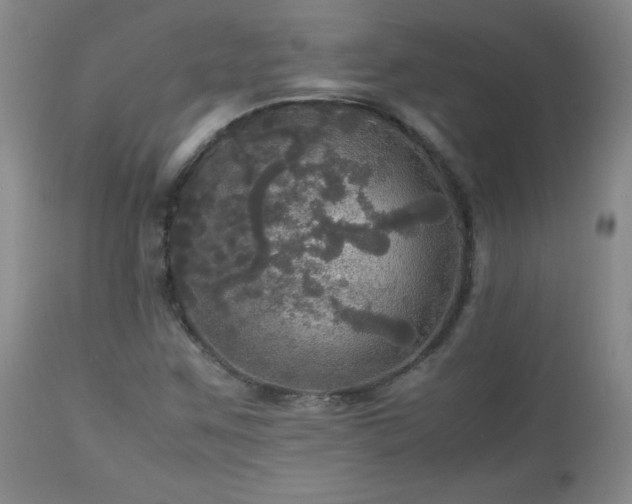 X0000112971259200909031037