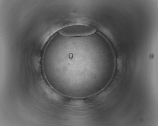 X0000112971260200909031037