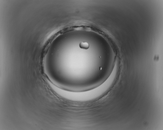 X0000112971261200909031037