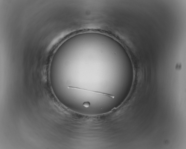 X0000112971262200909031037