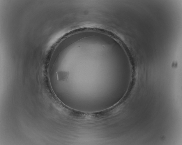 X0000112971263200909031037