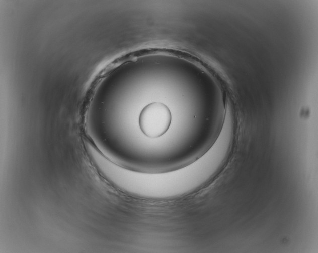 X0000112971264200909031037