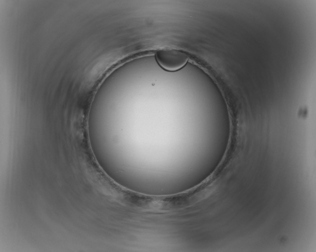 X0000112971265200909031037