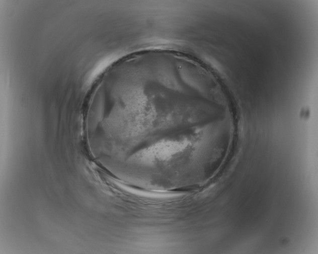 X0000112971267200909031037