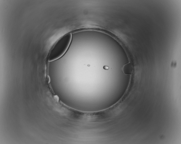 X0000112971269200909031037