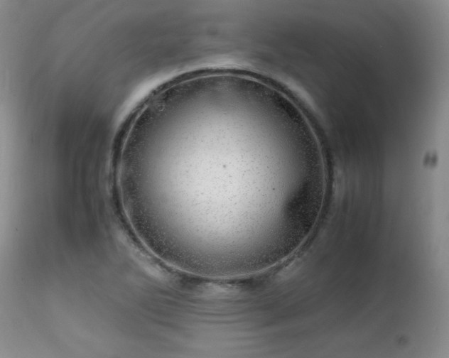 X0000112971270200909031037