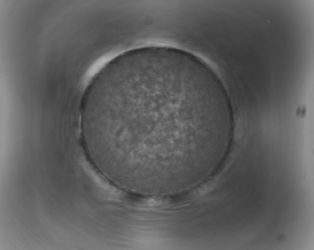 X0000112971271200909031037