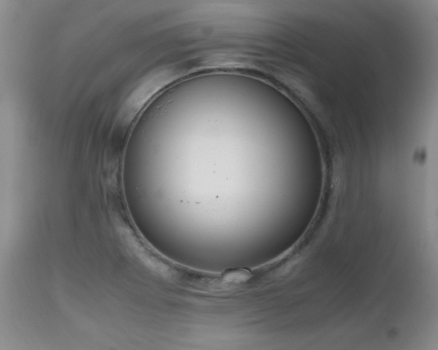 X0000112971273200909031037