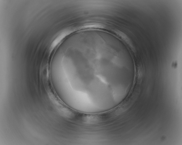 X0000112971274200909031037