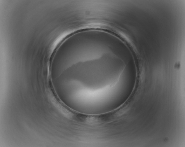 X0000112971275200909031037