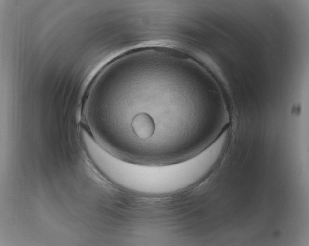 X0000112971276200909031037