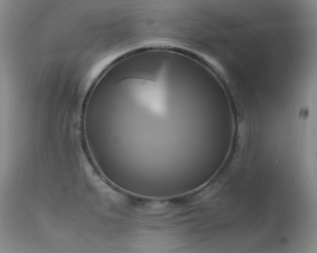 X0000112971279200909031037