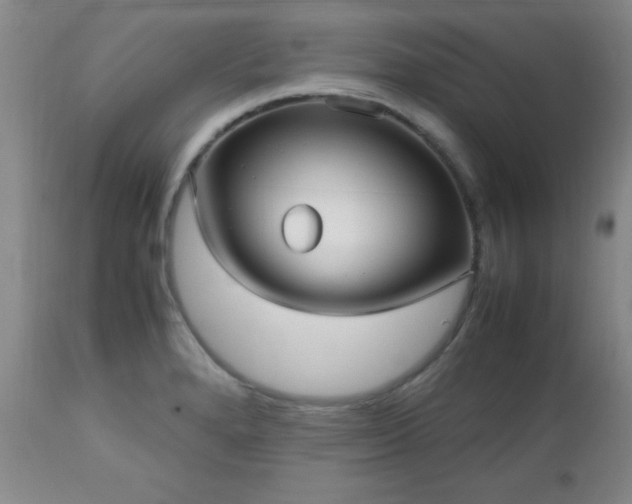 X0000112971280200909031037