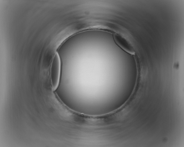 X0000112971281200909031037