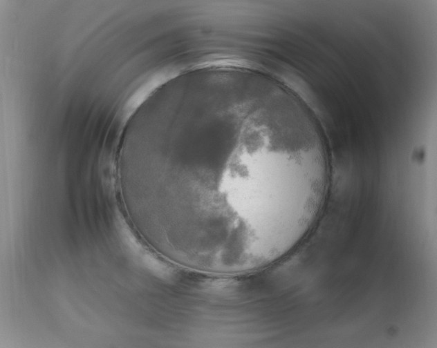 X0000112971282200909031037