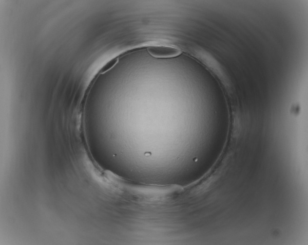 X0000112971284200909031037