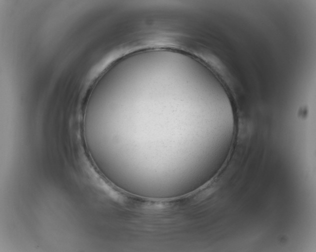 X0000112971286200909031037