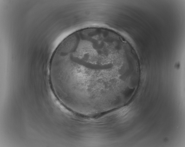 X0000112971287200909031037