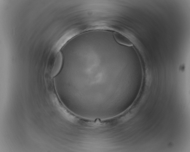 X0000112971289200909031037