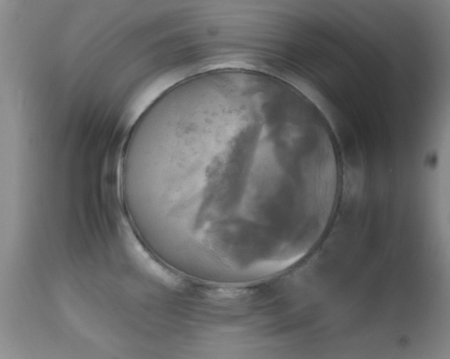 X0000112971290200909031037