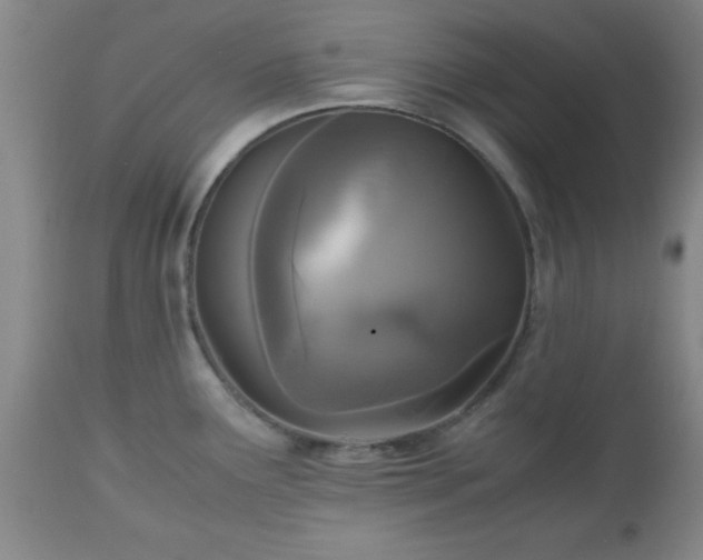 X0000112971291200909031037