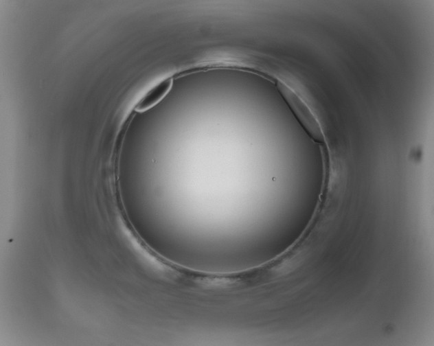 X0000112971293200909031036