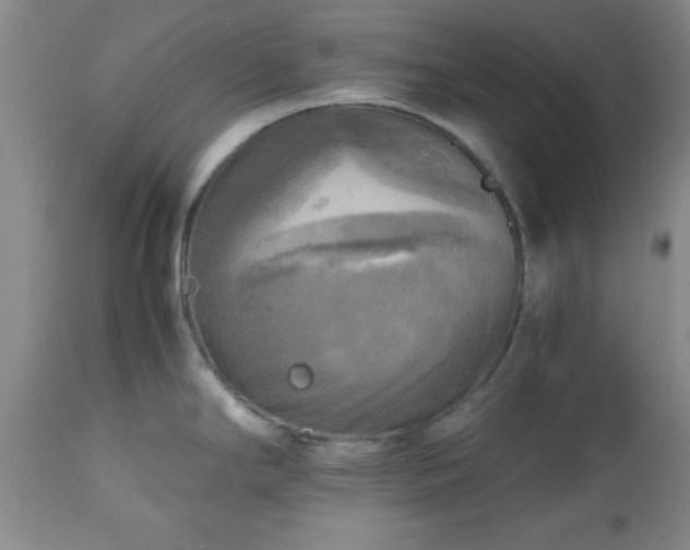 X0000112971294200909031036