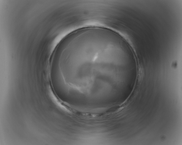 X0000112971295200909031036