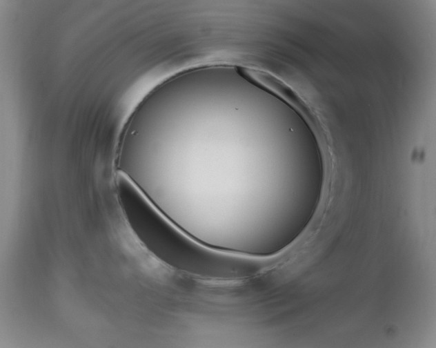 X0000112971296200909031036