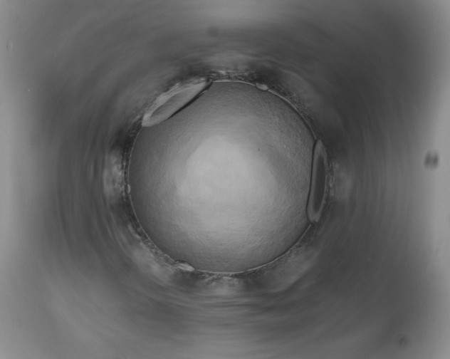 X0000112971298200909031036