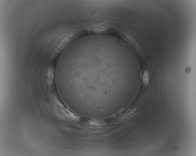 X0000112971299200909031036