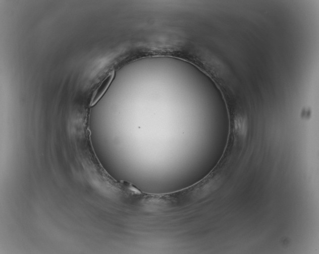 X0000112971300200909031036