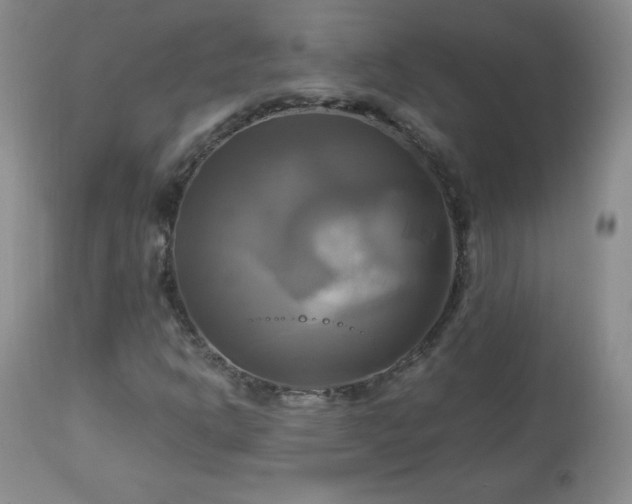 X0000112971302200909031036