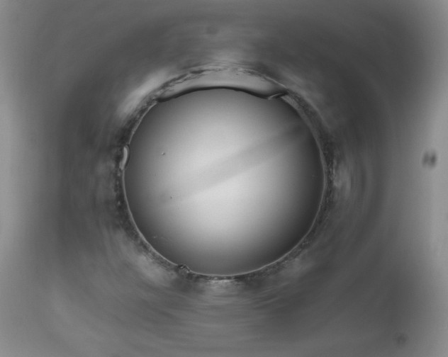 X0000112971304200909031036