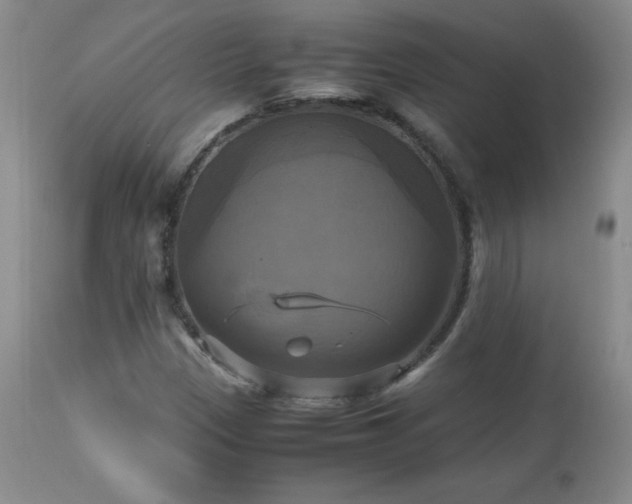 X0000112971305200909031036