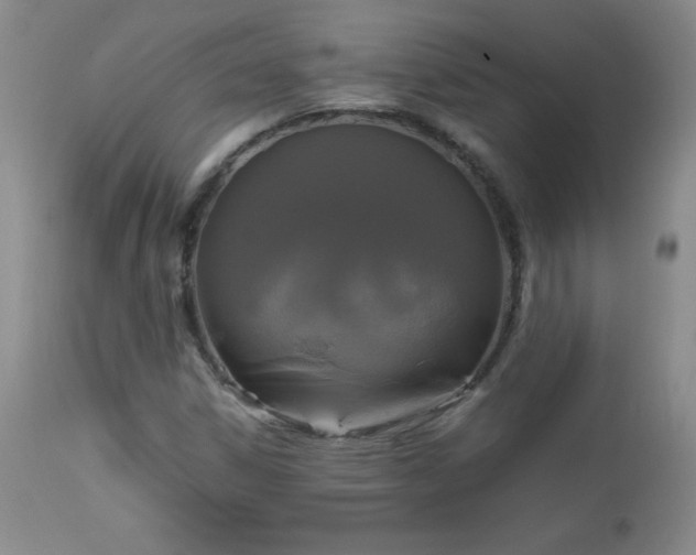 X0000112971306200909031036