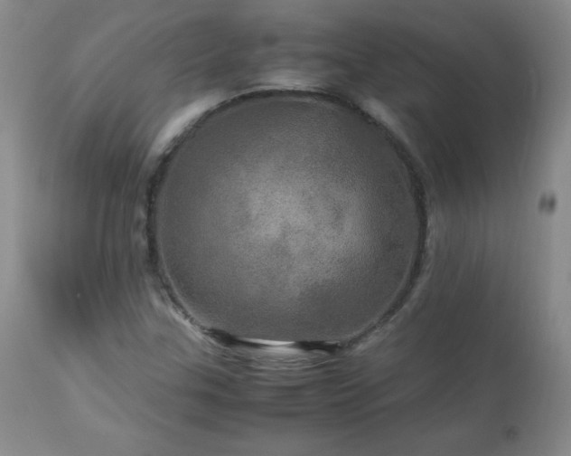 X0000112971307200909031036