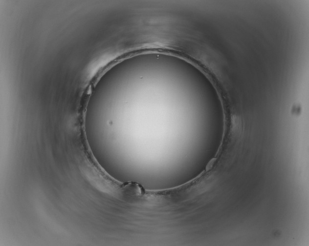 X0000112971308200909031036