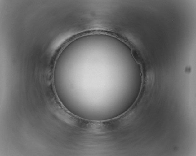 X0000112971310200909031036