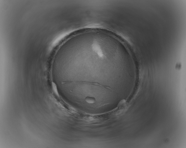 X0000112971311200909031036