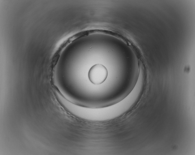 X0000112971312200909031036