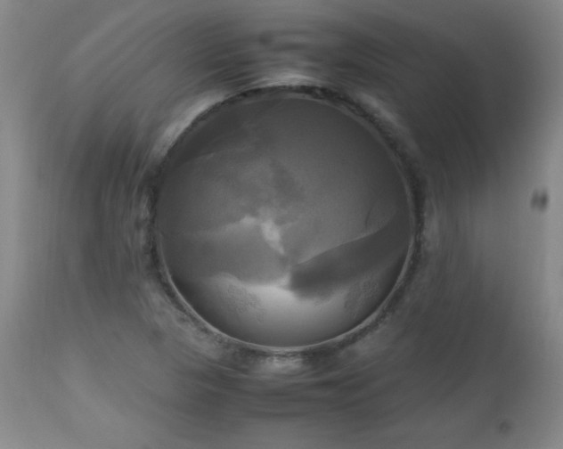 X0000112971313200909031036