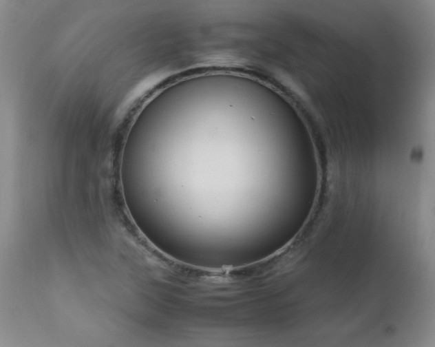 X0000112971315200909031036